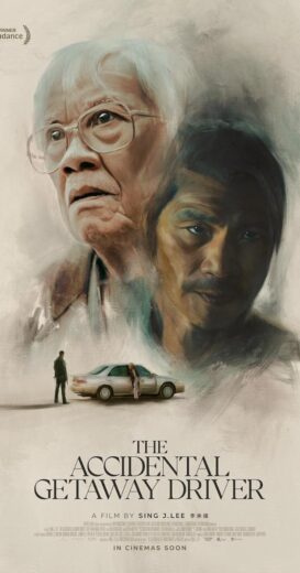 مشاهدة فيلم 2025 The Accidental Getaway Driver مترجم